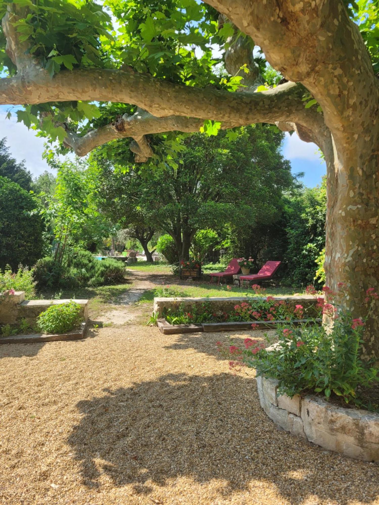 Mas Tareau La Syrah Bed & Breakfast Beaucaire  Exterior photo